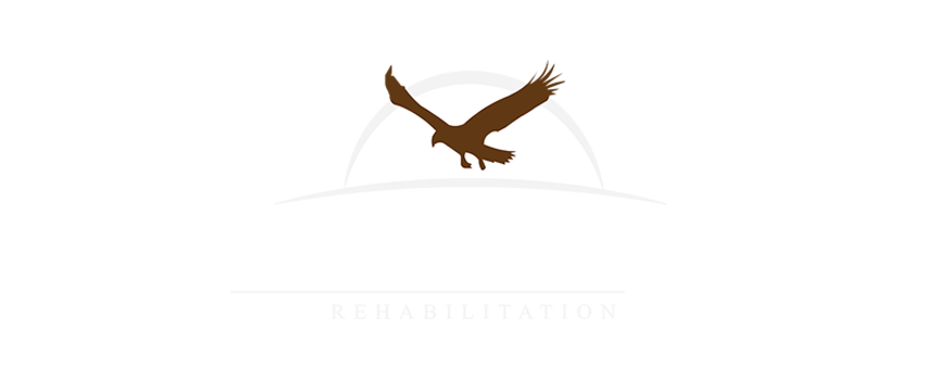 falcon ridge rehab